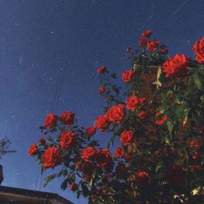 万博官网manbetx截图